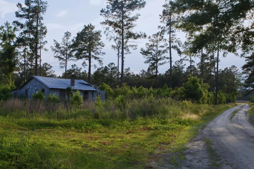 Songbirds Caged: Malaysia Busts Major Trafficking Ring