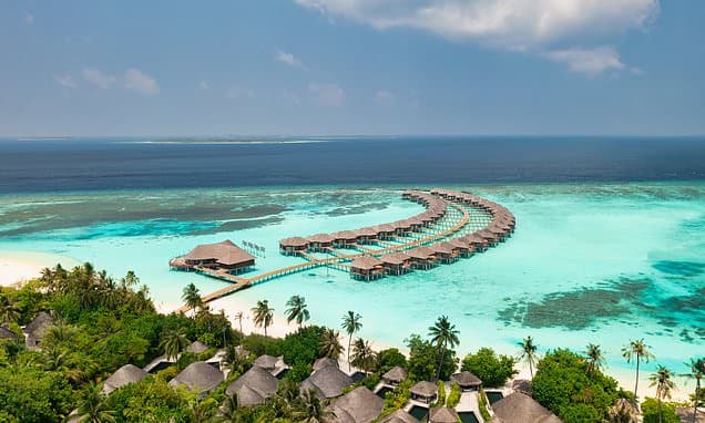 Honeymoon Horror: Shark Attack Leaves Tourist Fighting for Life