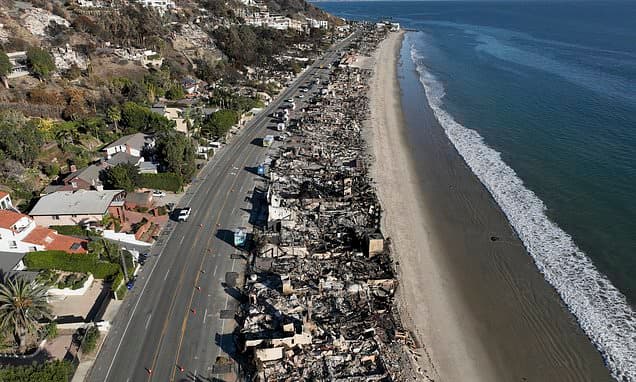 LA Fire Survivors Fear Mega-Mansion Takeover