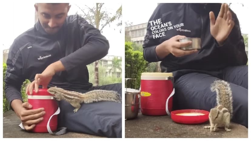 Disney Princess Moment: Man Shares Meal With Squirrel