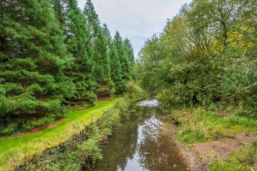 Builder Fined Over £1,000 for Illegal Waste Dump