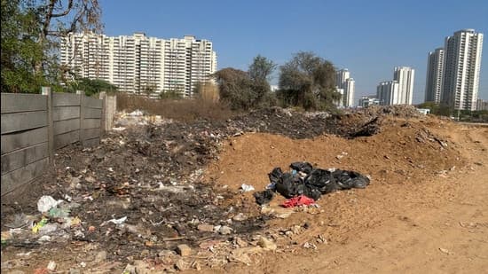 Manesar grapples with garbage, sewage, and stray cattle woes.