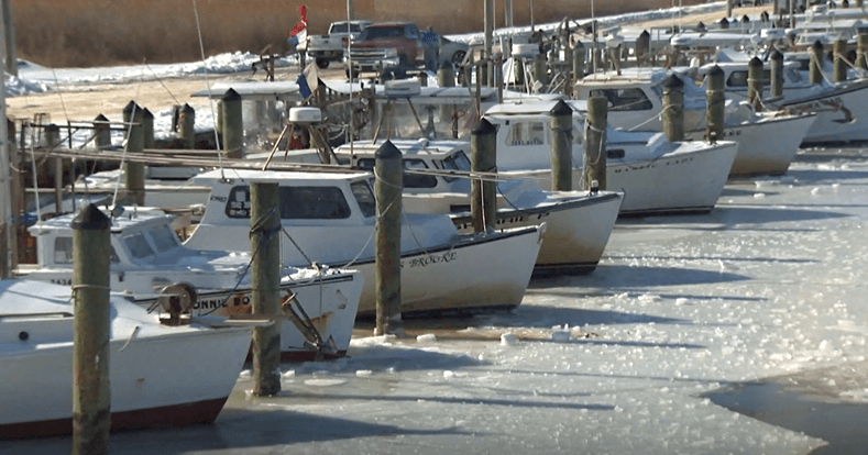 Decades-High Ice Locks Maryland Watermen on Land