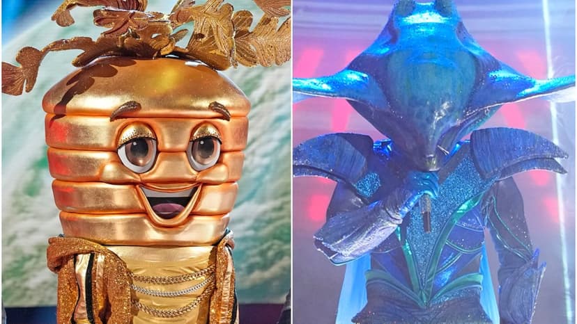TV Judge & Actor Unmasked on Masked Singer