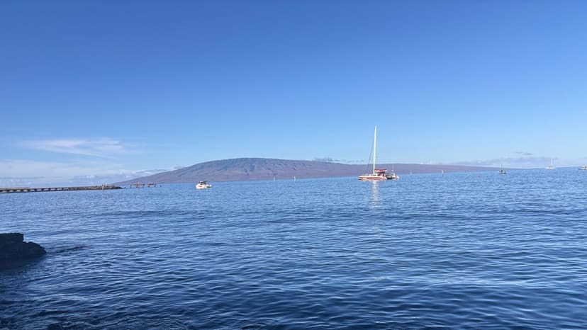 Maui Recovers: Resilience Shines Through Wildfire Scars