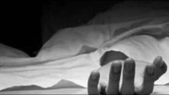 Meerut Driver Drowns After E-Rickshaw Plunges Into Open Drain