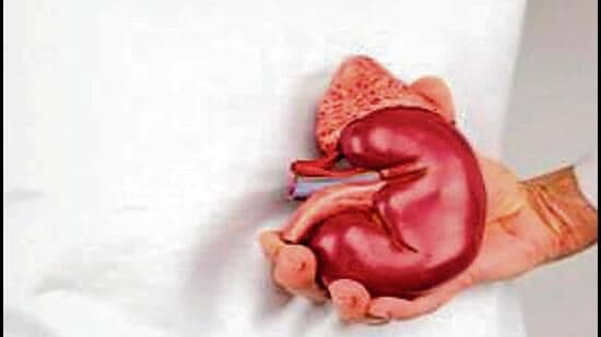 Kidney Racket Probe Widens to Meerut Hospital