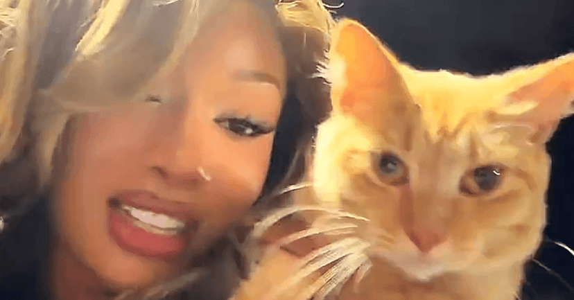 Megan Thee Stallion Adopts Stray Studio Cat, Miso