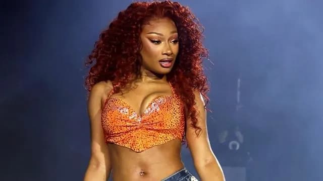 Megan Thee Stallion's Bold True Religion Look