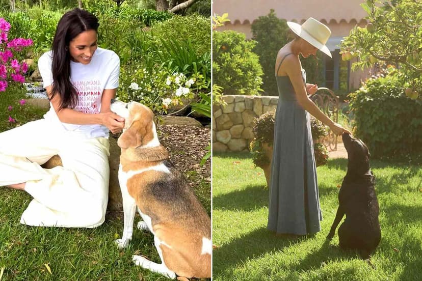 Harry & Meghan's Dogs Join Them in UK