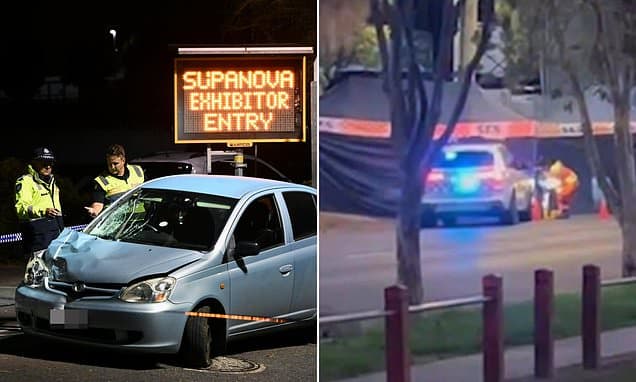 Gaming Con Tragedy: Car Plows into Fans, One Dead