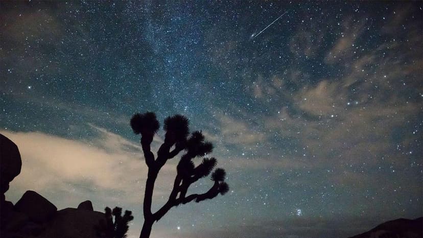Night Sky Dazzles: Two Meteor Showers Ignite!