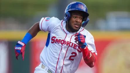 Mets Trade Frenzy: 8 Players Out, 13 In!