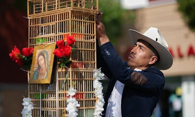 Mexico's Bird Sellers Face Extinction