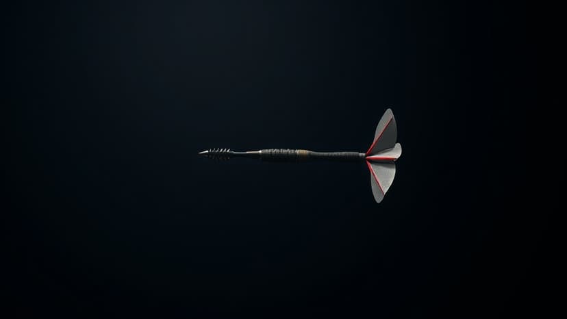 Van Gerwen: Tough Year, New Optimism