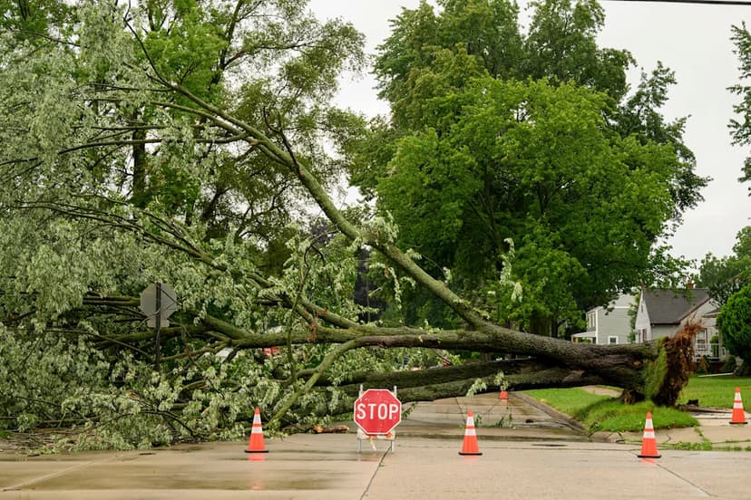 Deadly Weekend: Storms Kill Six in Michigan