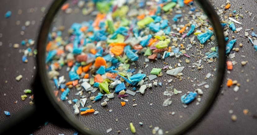 Gov't Launches $144M Program to Study Microplastic Impact