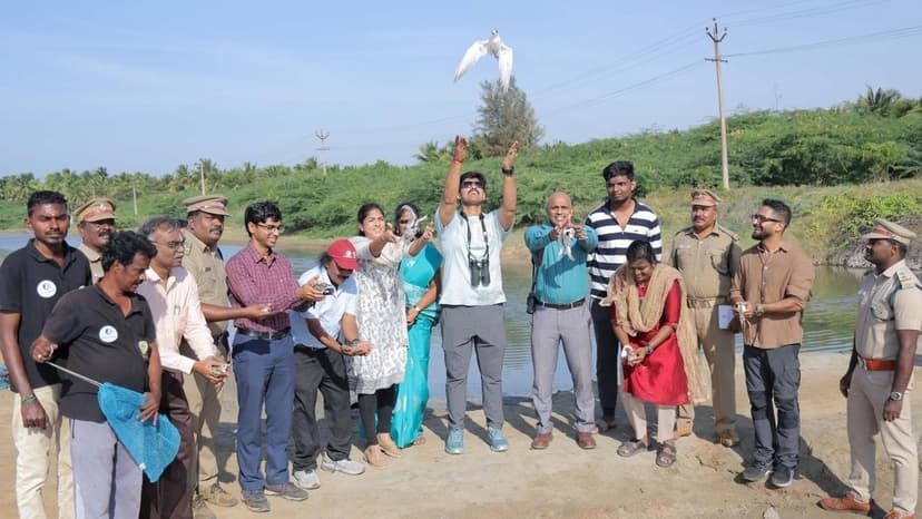 Arctic Birds Flock to Indian Salt Pans