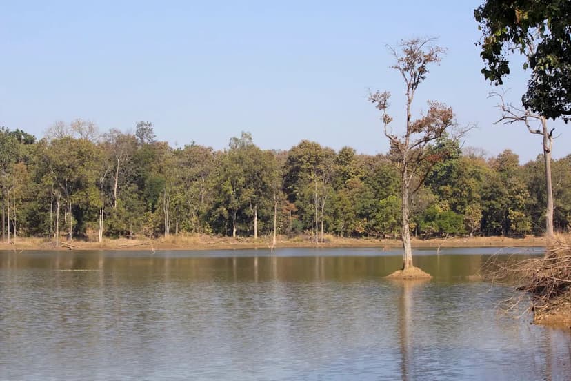 Nagpur's Migratory Birds Vanish: A Stark Environmental Warning