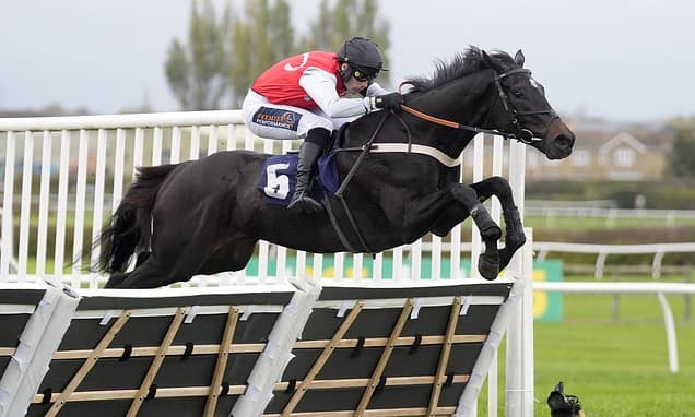 Minella Study heads to Musselburgh after glowing Cheltenham run