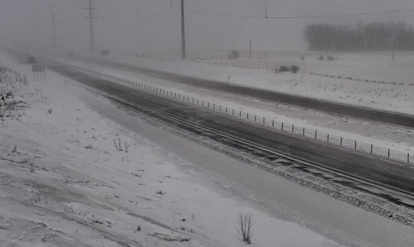 Blizzard Warning: Travel Urged to Halt in MN