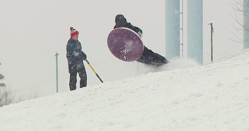Minnesota Snow Day Fun: Kids and Dogs Embrace Blizzard