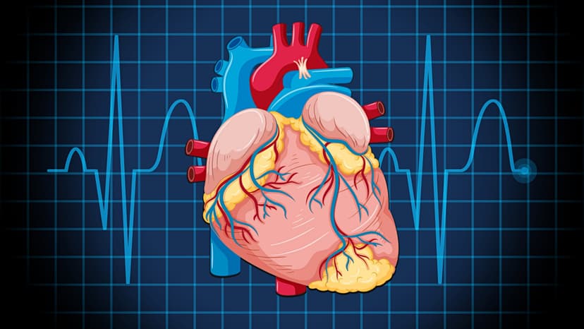 Study: Skipping BP Meds Boosts Heart Attack Risk