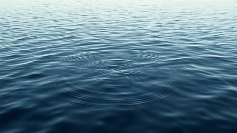 University Student's Body Found After Disappearance