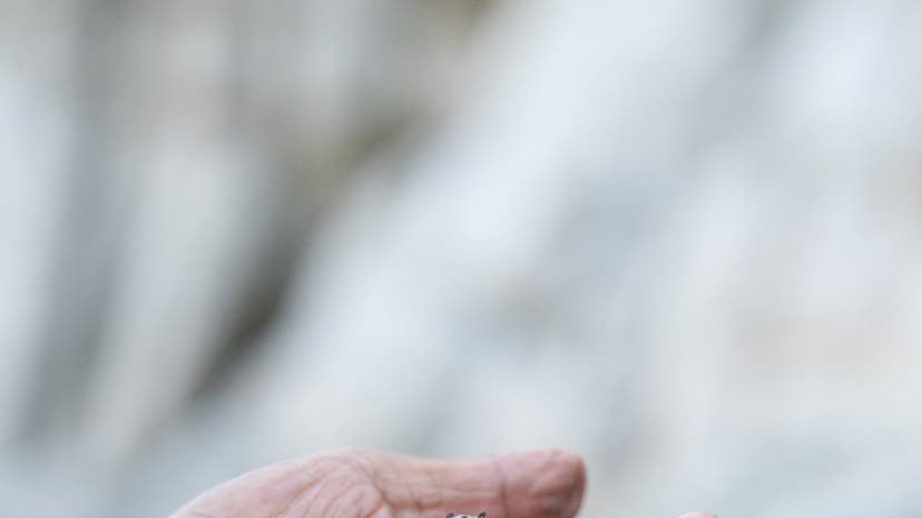 Mixtec Artisans Fight to Save Sacred Purple Dye Tradition