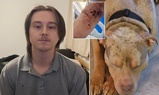 MMA Fighter Survives 20-Min XL Bully Attack