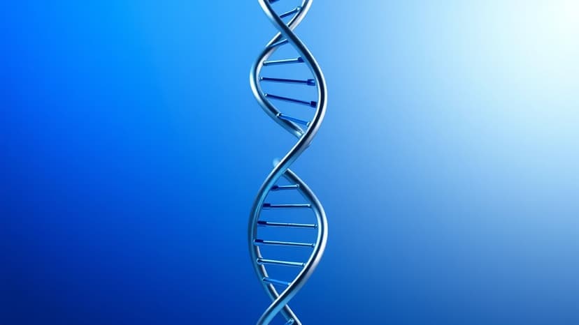 Moderna Shares Dip Despite Revenue Beat as Norovirus Trial Falters