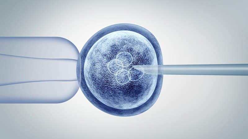 Monash IVF Admits Major Embryo Transfer Errors