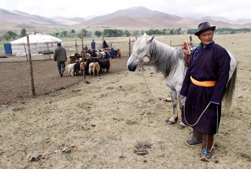Mongolia's Cashmere Boom: A Fragile Future