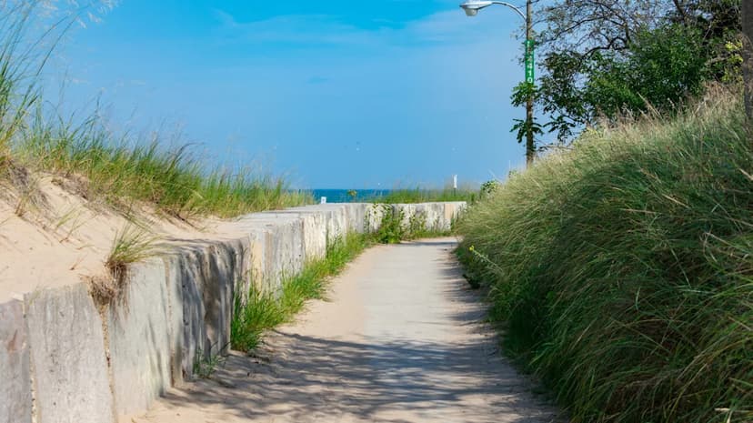 Chicago's Hidden Bird Paradise