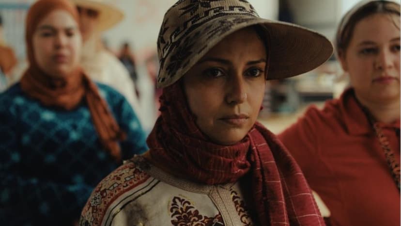 Morocco's Film Industry: From Service Hub to Global Player