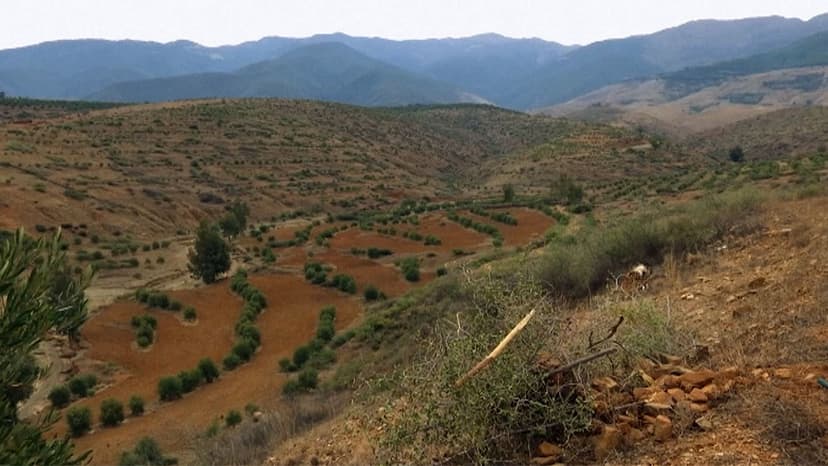 Morocco's Green Revolution: Farming Against the Odds