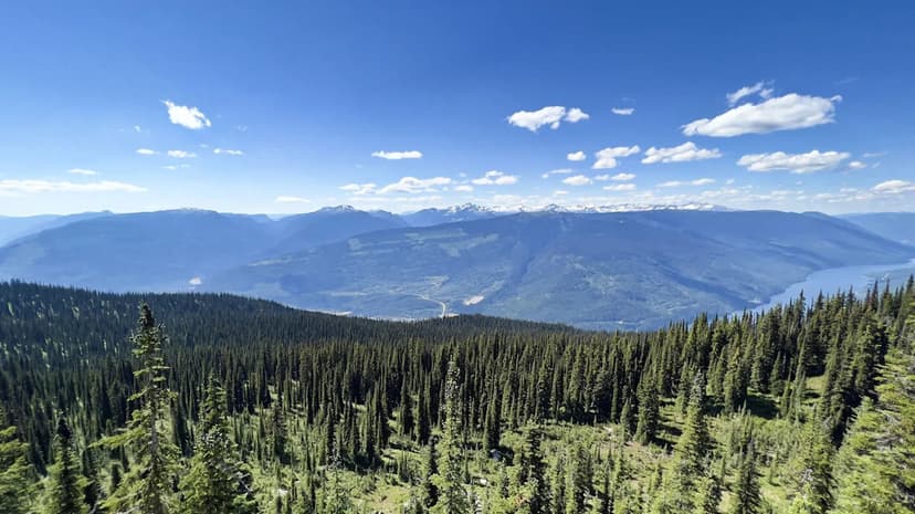 Escape Banff Crowds: Uncover Mount Revelstoke's Magic