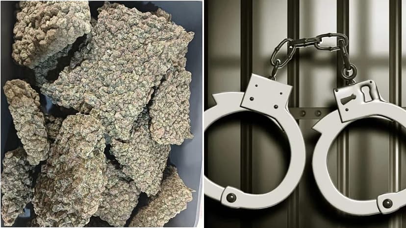 Mother-Son Duo Caught Smuggling $8 Crore Drugs