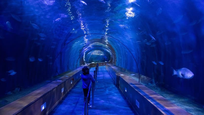 Byculla Zoo's Underwater World Opens Soon!