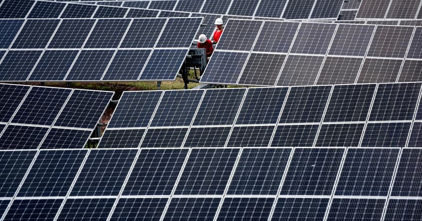 Musk Eyes China Solar: Stocks Surge on Production Plans