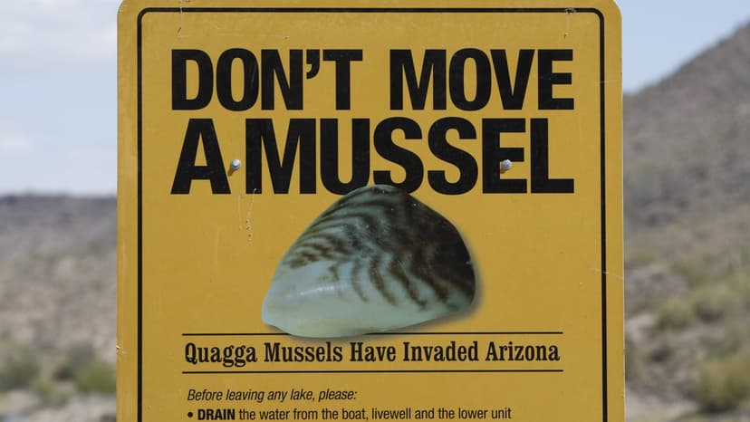 1,100lb Mussel Masher Fights Aquatic Invaders