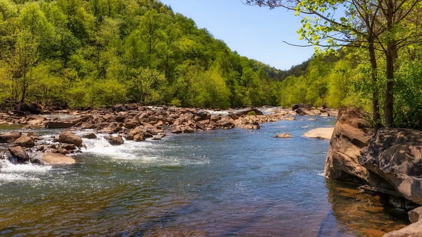 Mussels Unleashed: TVA's Innovative Plan to Clean Up Rivers