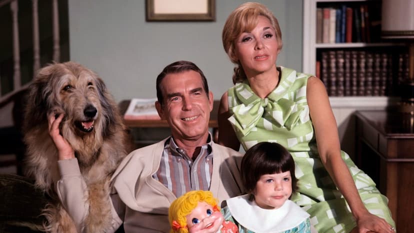 My Three Sons Actress Dawn Lyn Faces Debilitating Health Battles