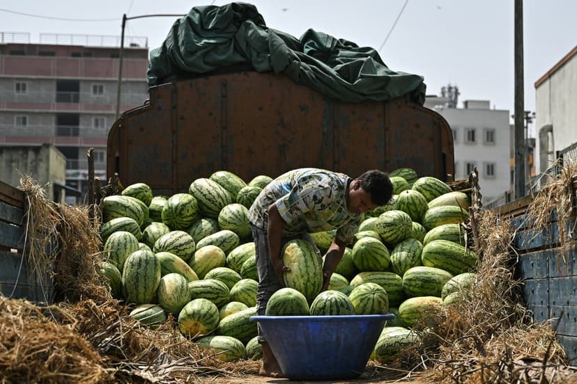 Four Die Mysteriously; Watermelon Meal Under Scrutiny