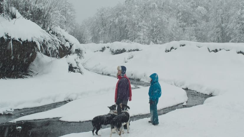 Mystery Unfolds: 'The Meltdown' Heads to Berlin