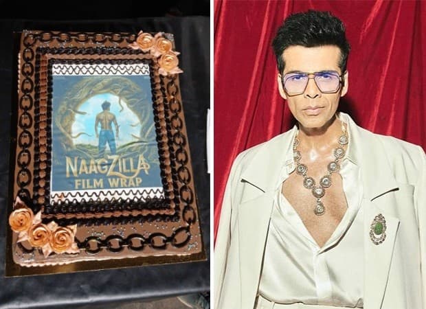 Kartik Aaryan's 'Naagzilla' Wraps Shoot Sweetly