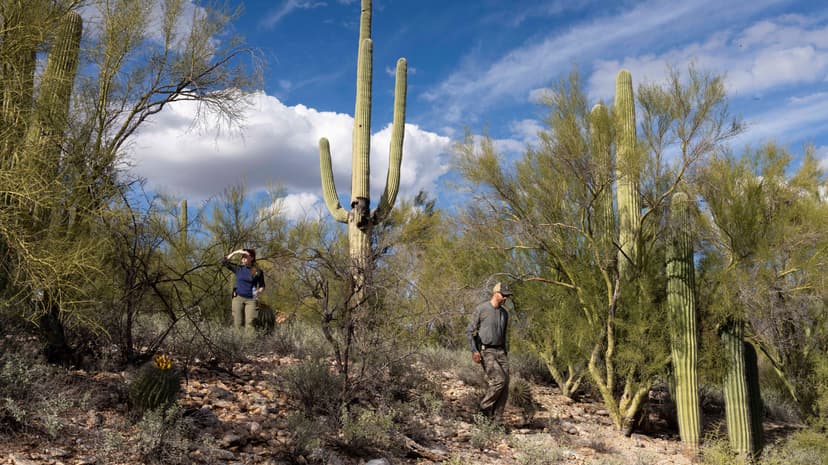 Desperate Plea: Thousands Call in Nancy Guthrie Disappearance