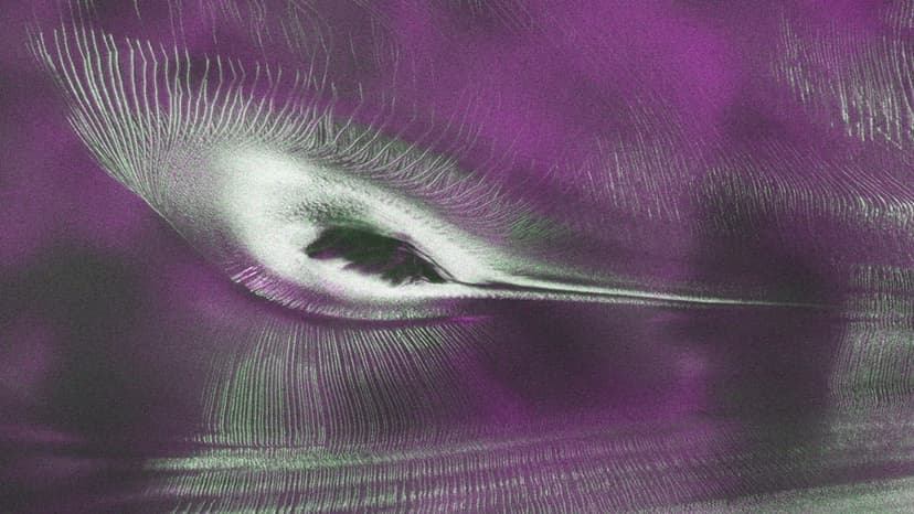 NASA's Radar Captures Antarctic "Hummingbird"