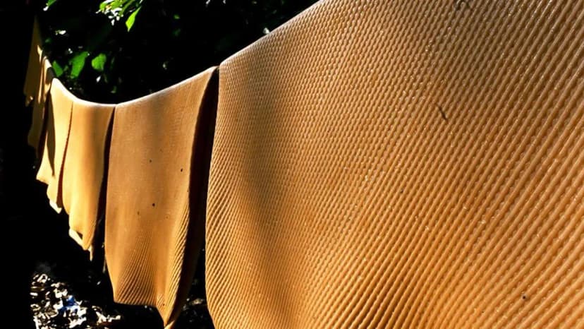 Rubber Prices Soar Amid Supply Fears