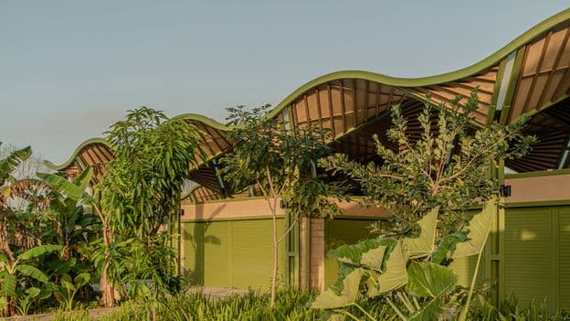 Nature's Architects: Buildings Merging with Wild